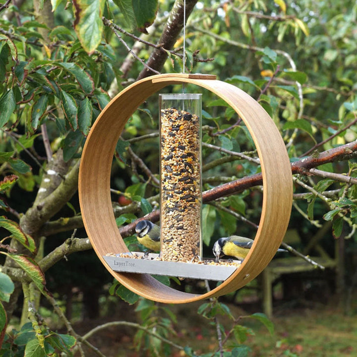 Bring Nature to Your Backyard with Our Simple Hanging Bird Feeder