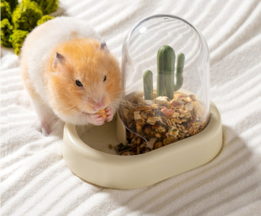 Transform Your Pet's Feeding Experience with the Home Hamster Creative Cactus Automatic Feeder!