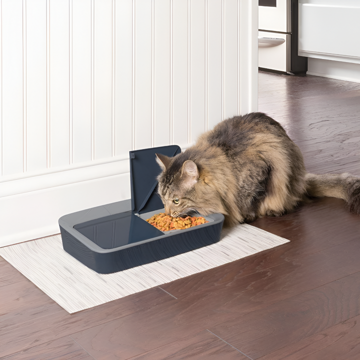 Feeding Tips for a Healthy, Happy Pet