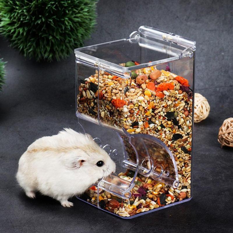 Hamster Feeder Food Box
