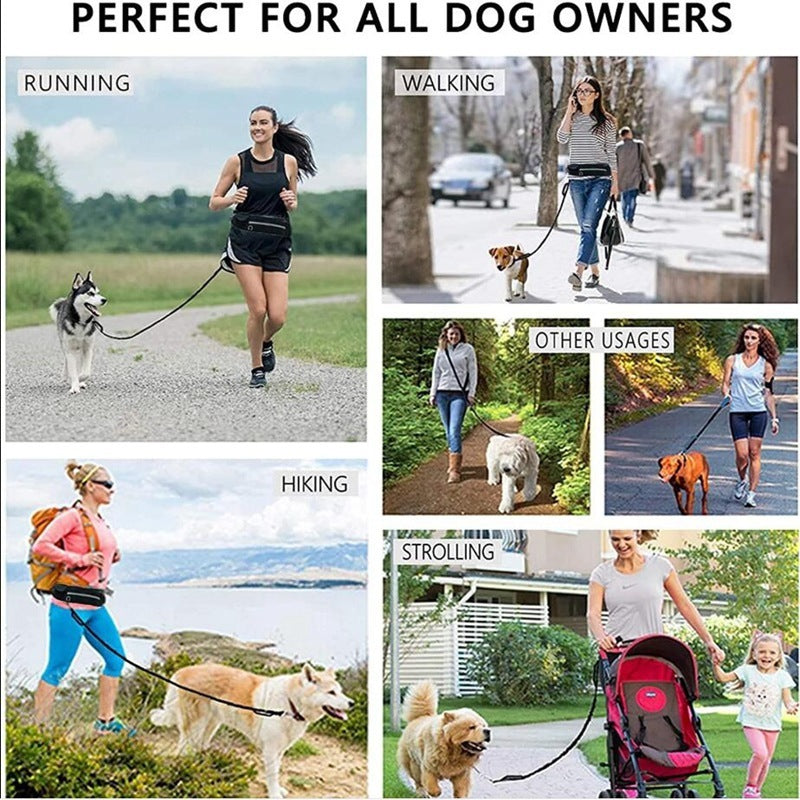 Hands Free Dog Leash With Phone Pocket