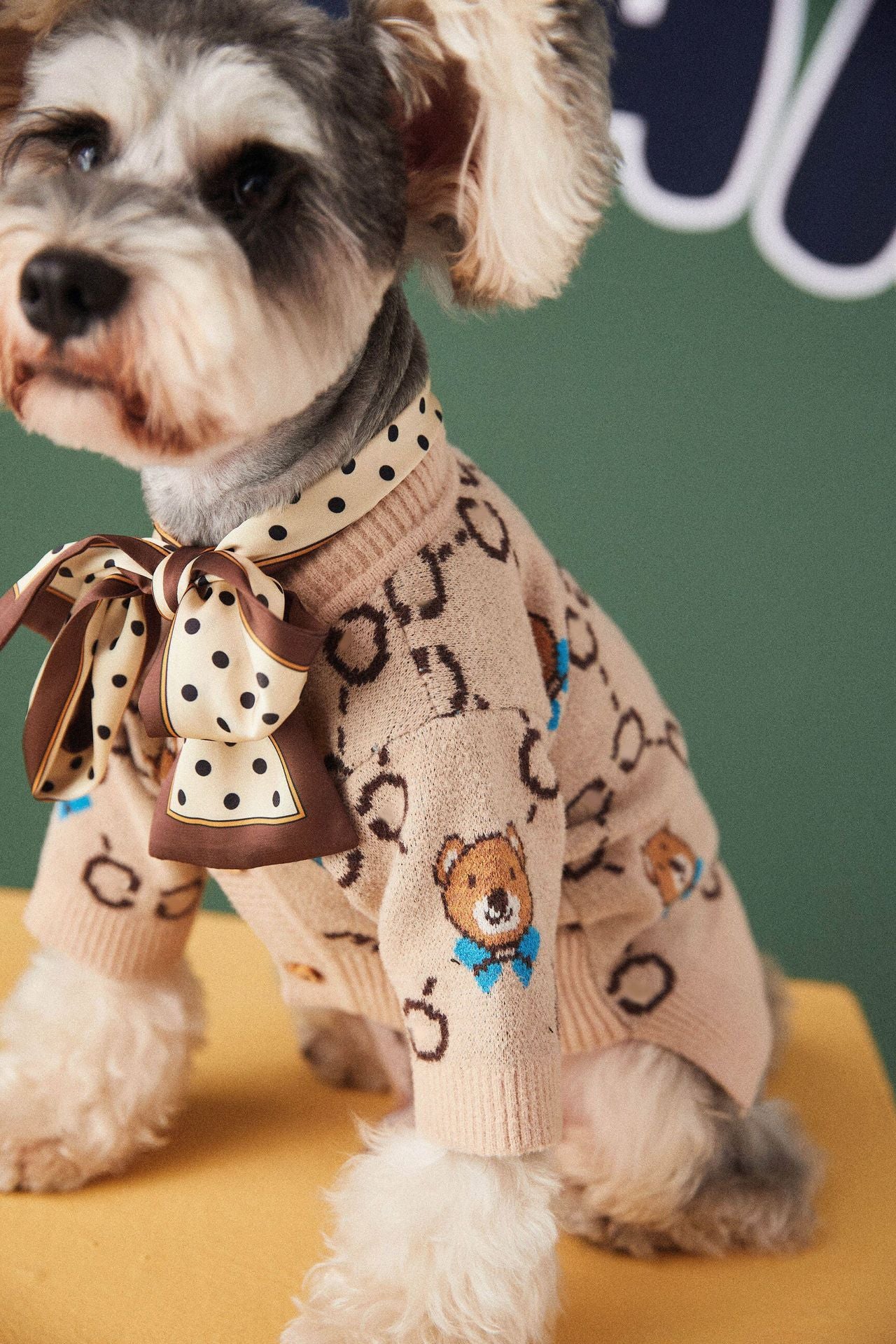 Pet Teddy Sweater Cardigan