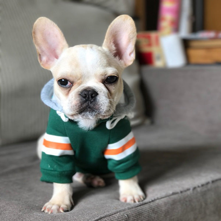 Varsity Sweater with Hood