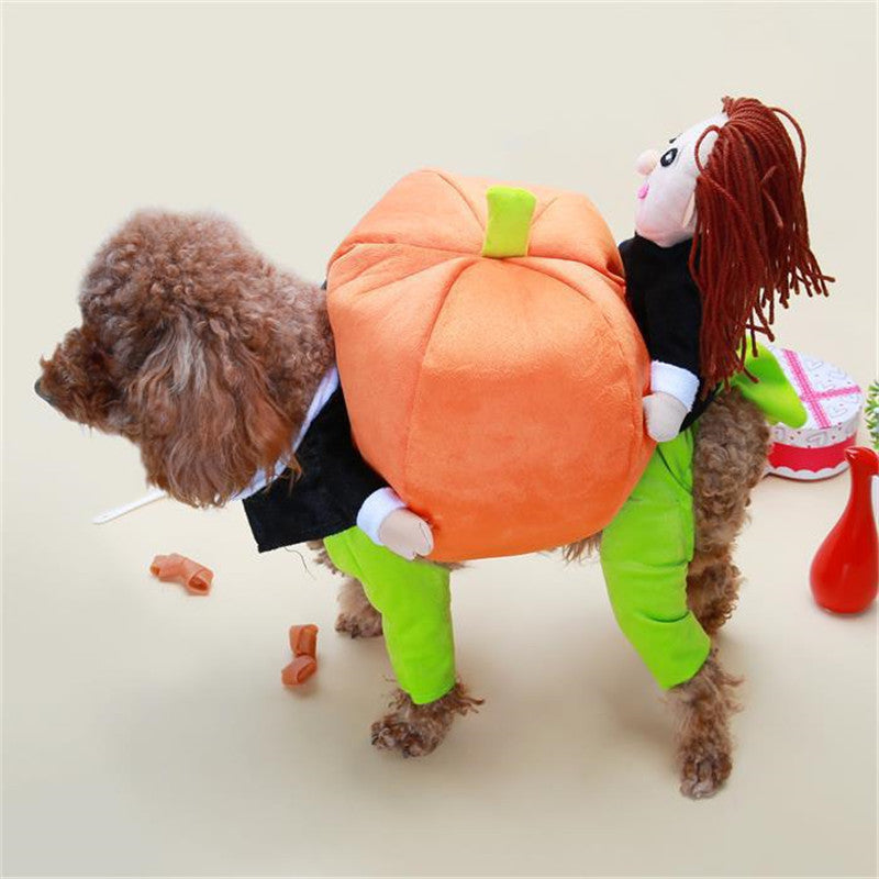 Funny Pumpkin Costume