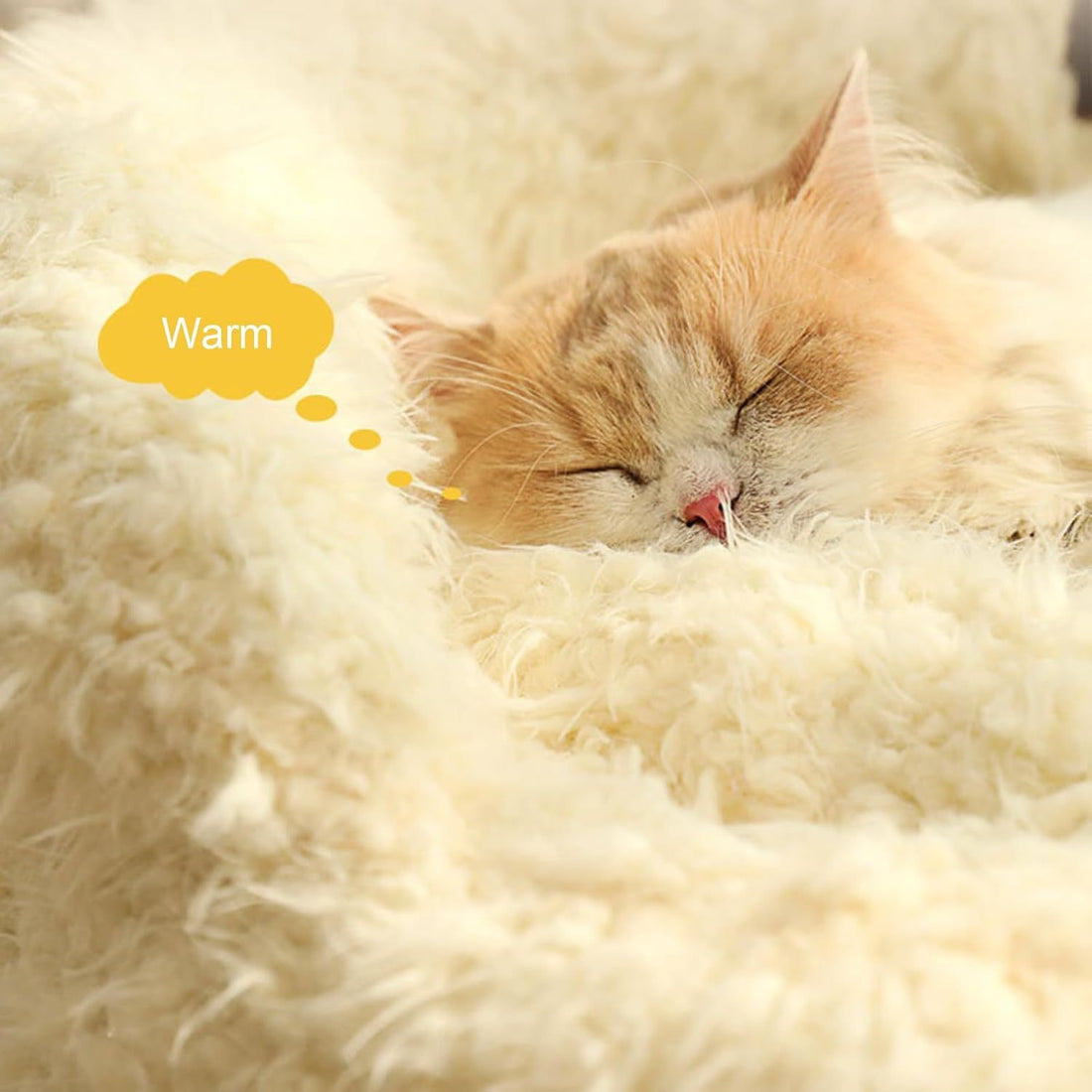 Small Donut Bed
