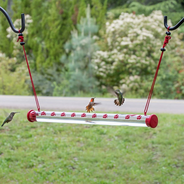 Flowers Hummingbird Bird Feeder