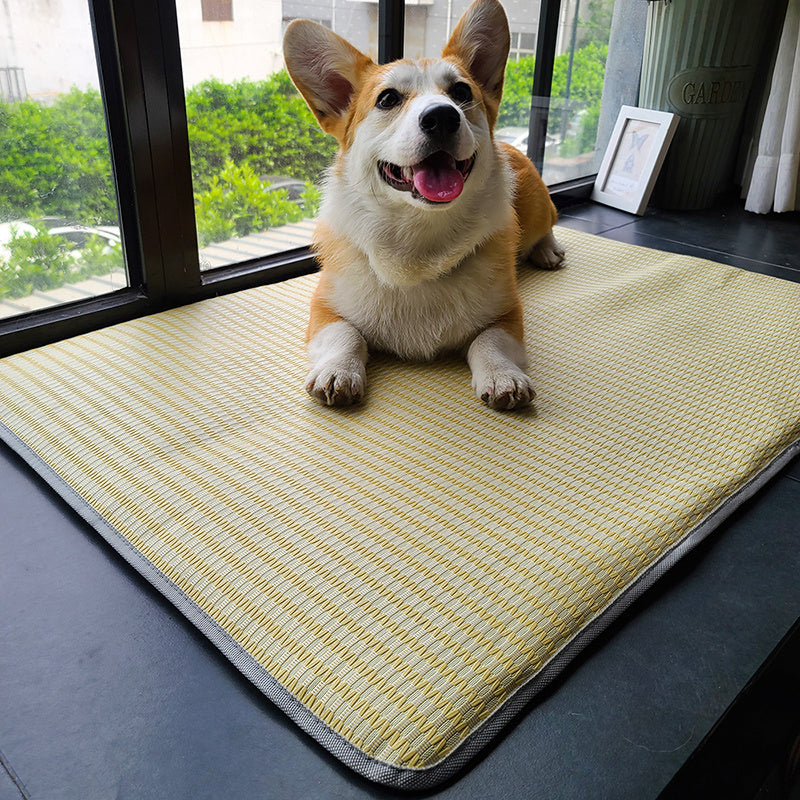 Dog Mat Sleeping With Pet Mat