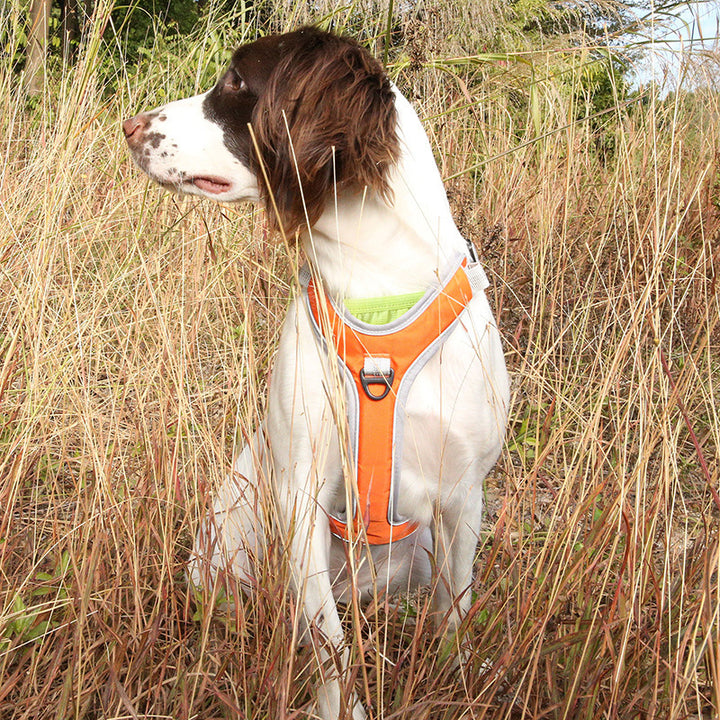 Chest Back Dog Breast Strap