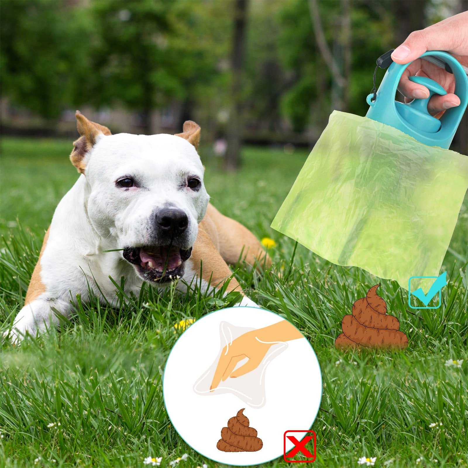 Sanitary Dog Poop Scooper