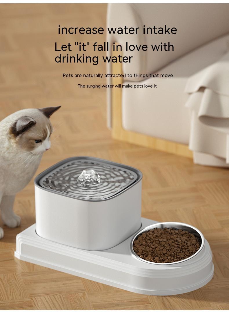 Cat Bowl Automatic Drinking Water Feeder