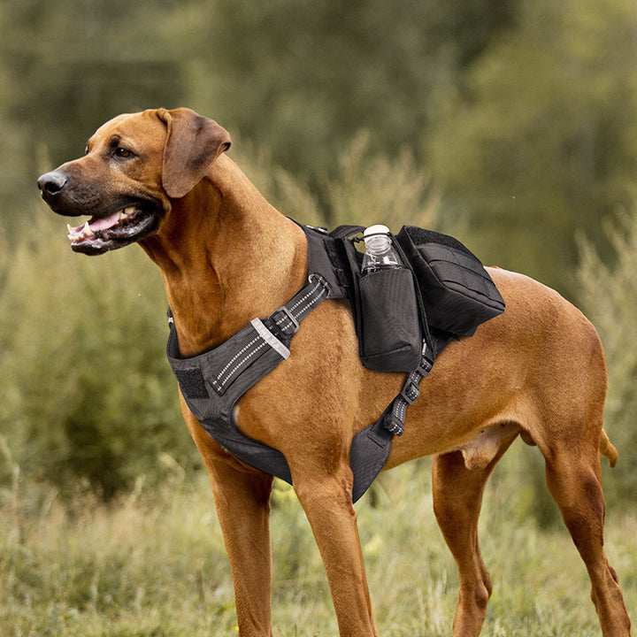 Pet Walking Dog Leash Chest Strap