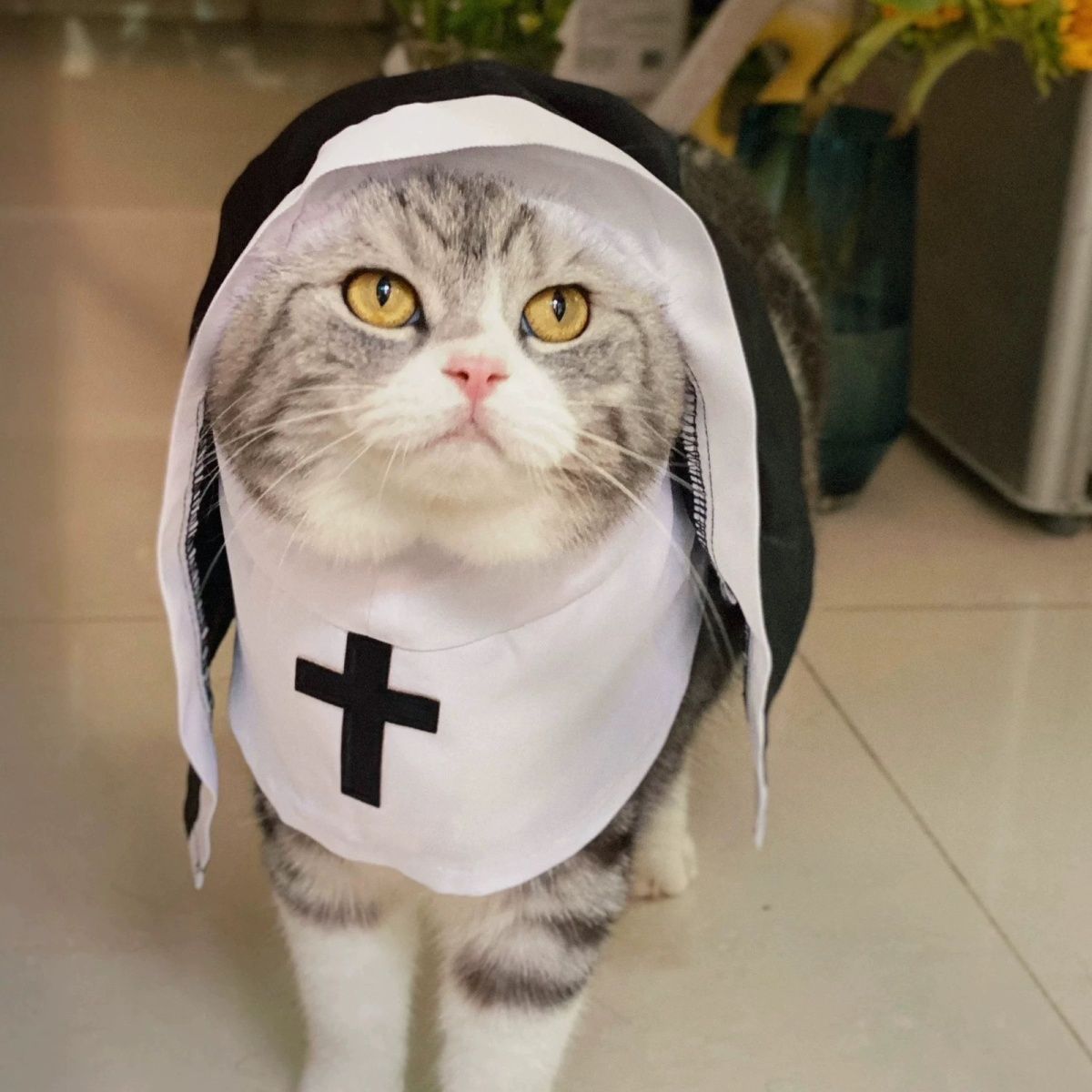 Nun Costume For Dogs & Cats