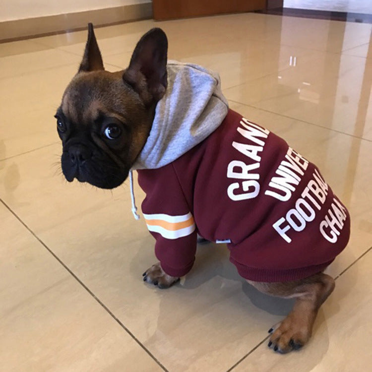 Varsity Sweater with Hood