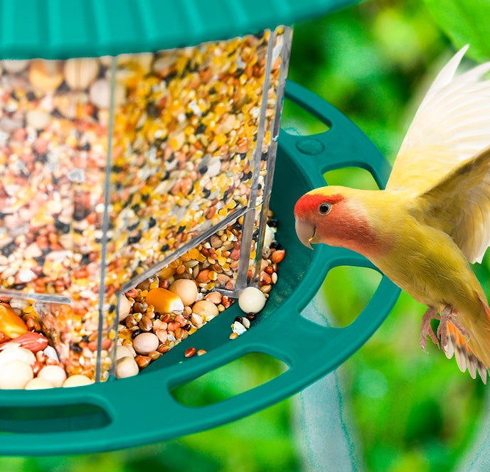 Hanging Transparent Bird Feeder