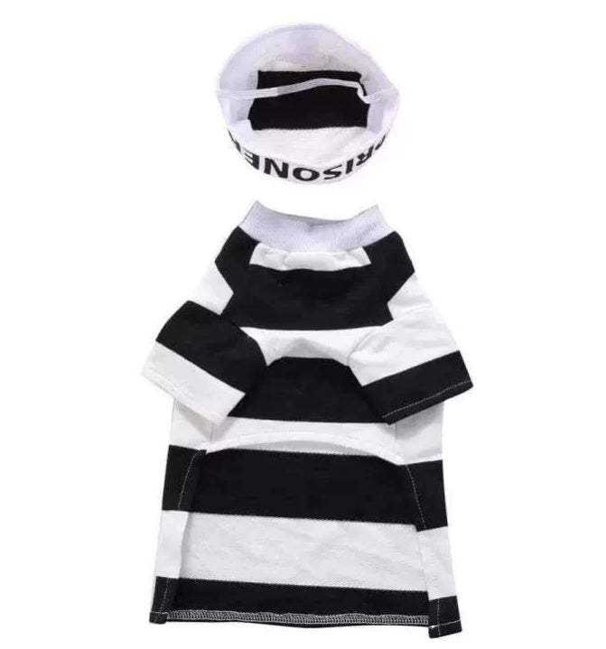Prisoner Costume