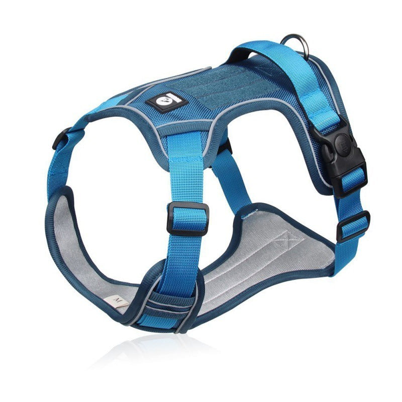 Explosion-proof Chest Strap