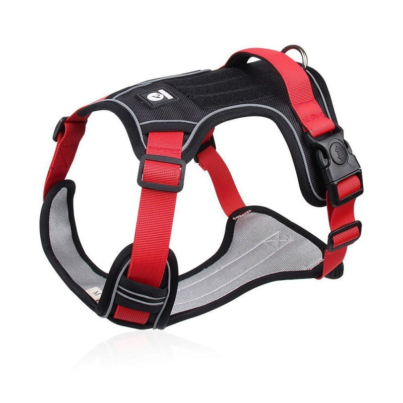 Explosion-proof Chest Strap