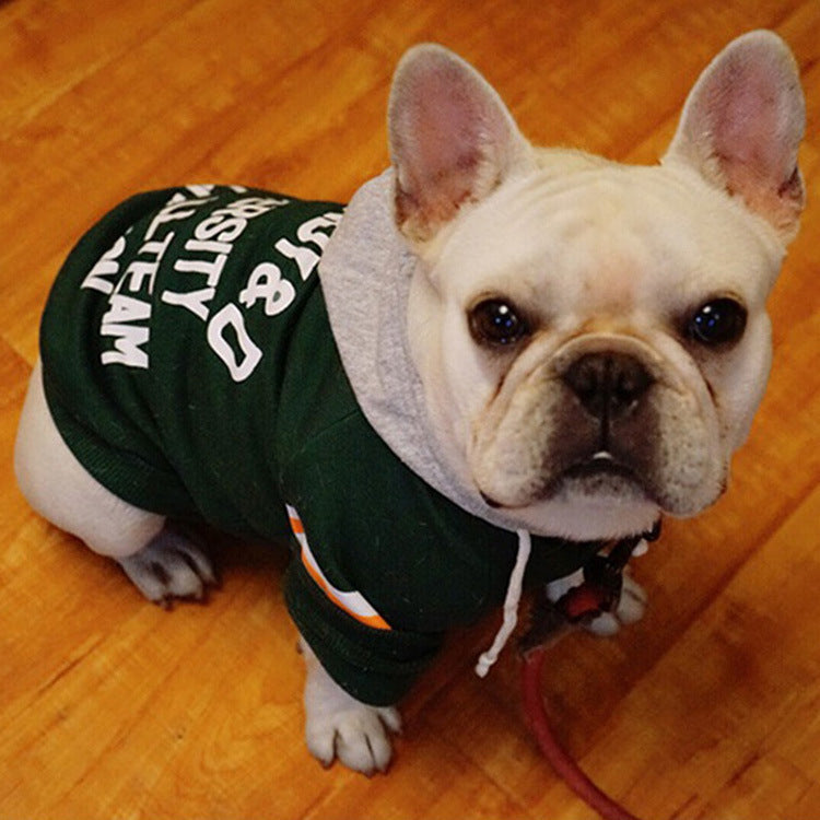 Varsity Sweater with Hood