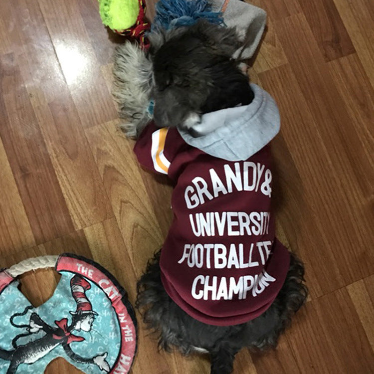Varsity Sweater with Hood