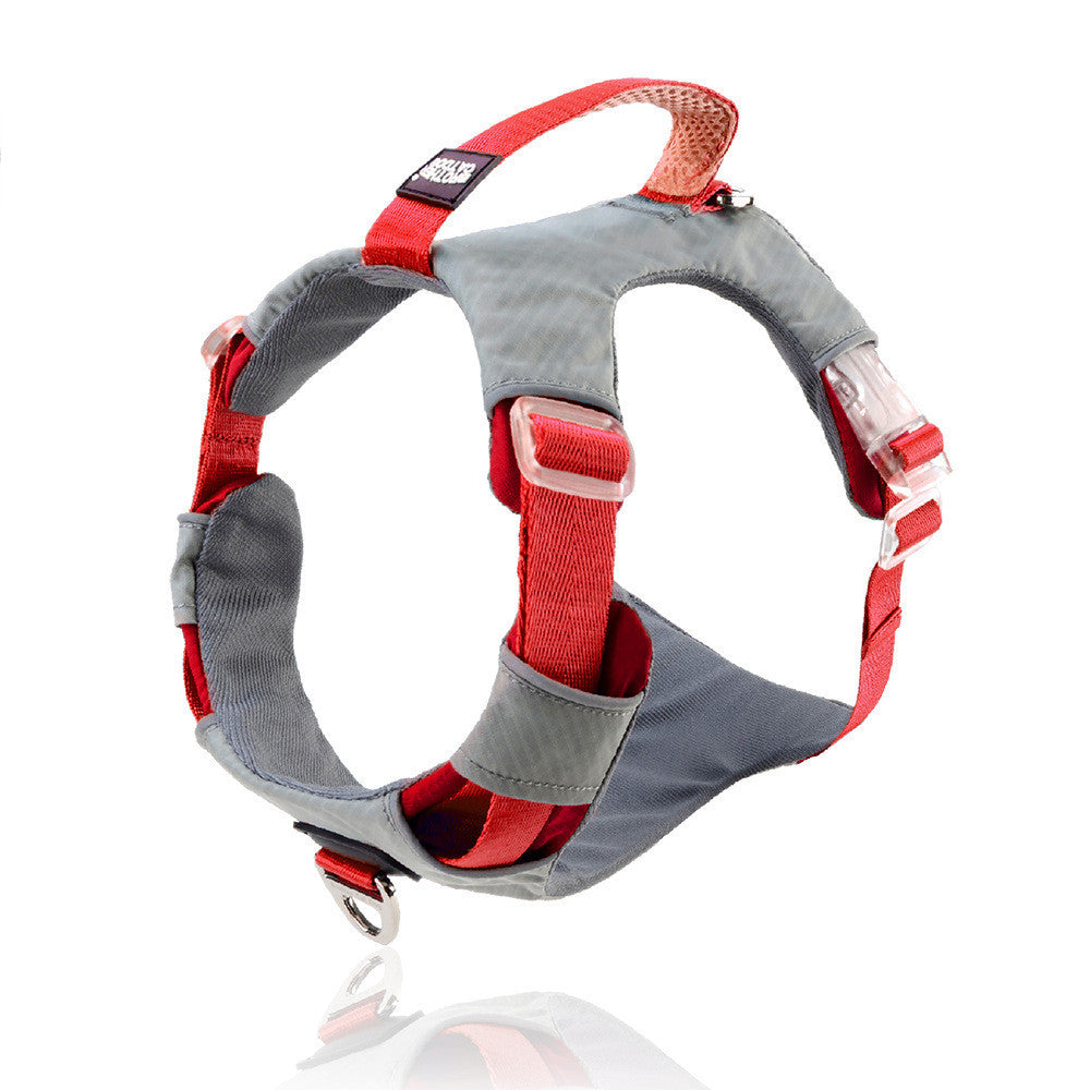 Explosion Proof Big Dog Chest Strap