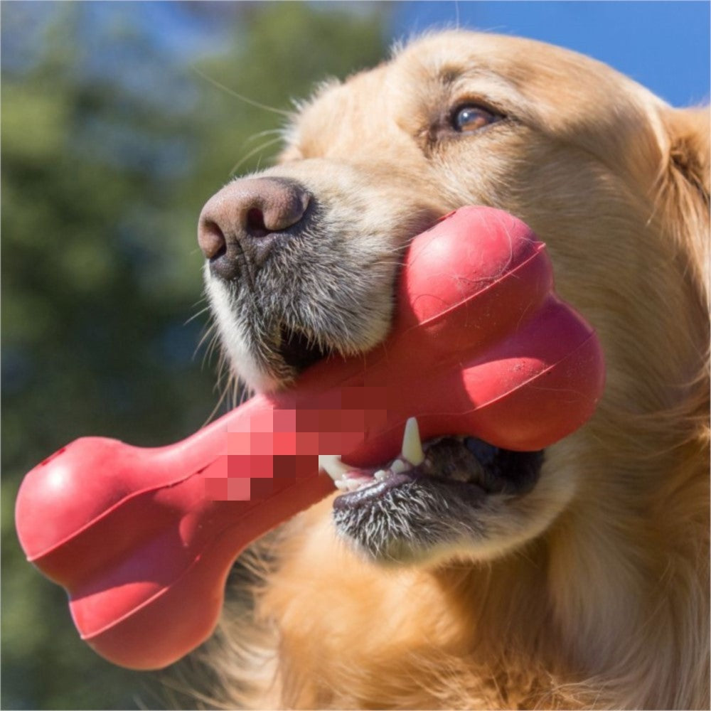 Dog Toys Bite Resistant Rubber