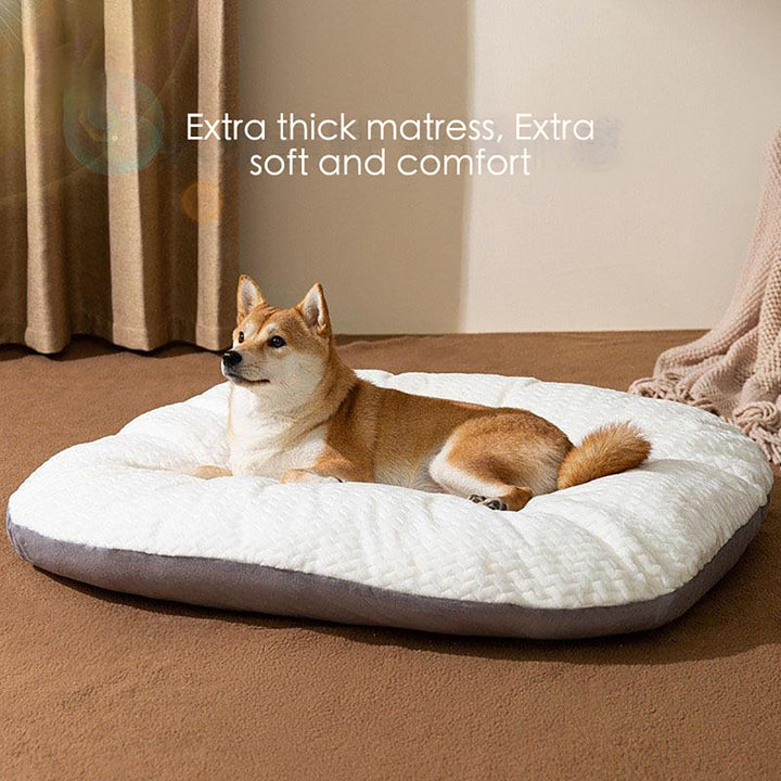Plush Pillow Bed