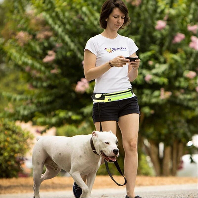 Hands Free Dog Leash With Phone Pocket