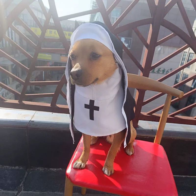 Nun Costume For Dogs & Cats