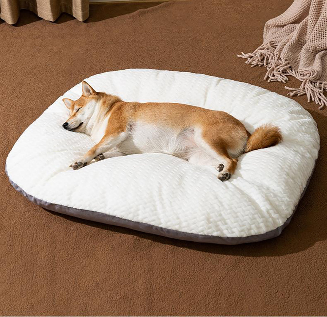 Plush Pillow Bed