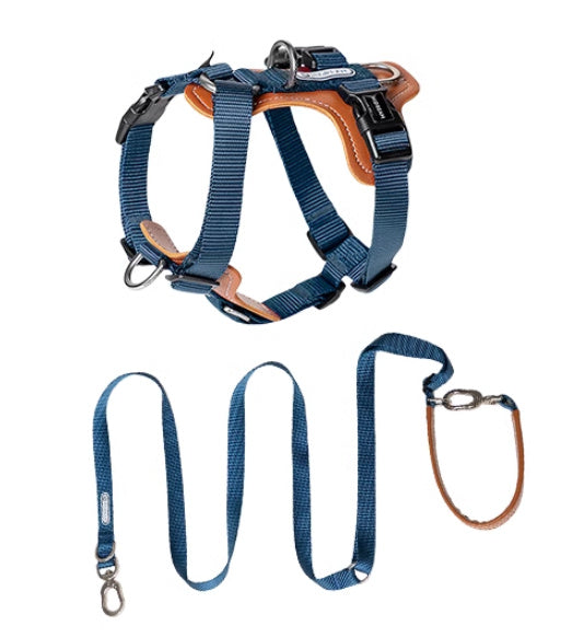 Dog Rope Leash Multifunctional