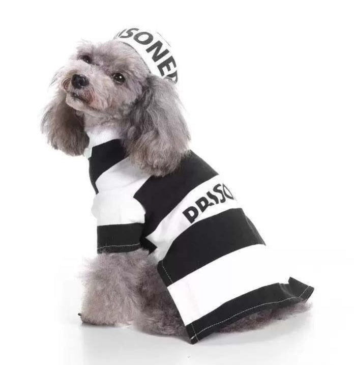 Prisoner Costume