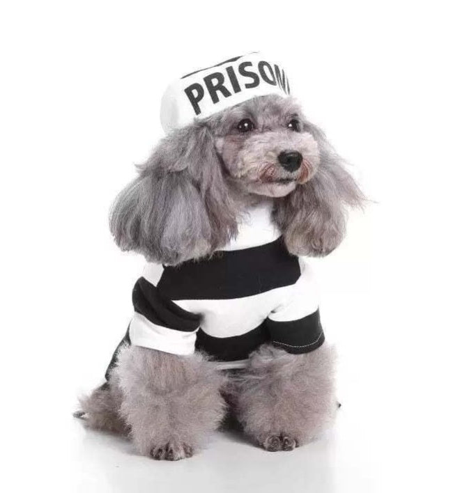 Prisoner Costume
