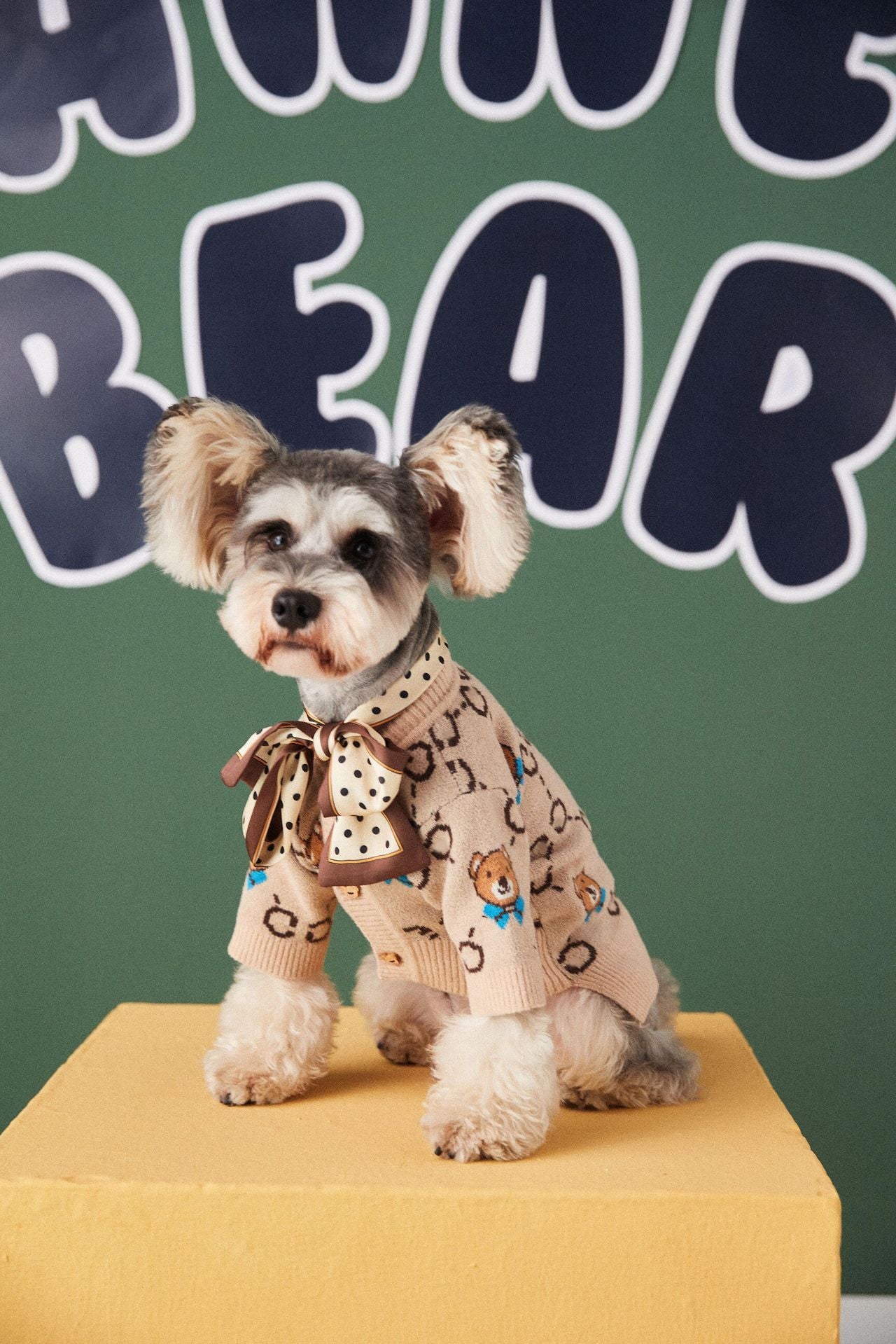 Pet Teddy Sweater Cardigan
