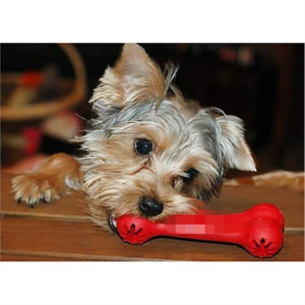Dog Toys Bite Resistant Rubber
