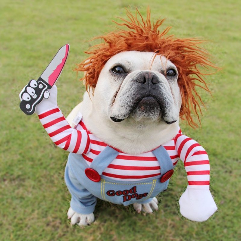 Halloween Pet Costume Good Dogs & Horeman