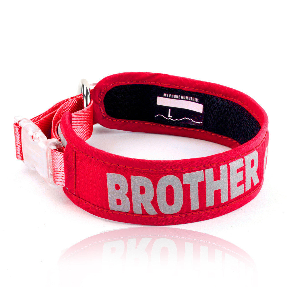 Explosion Proof Big Dog Chest Strap