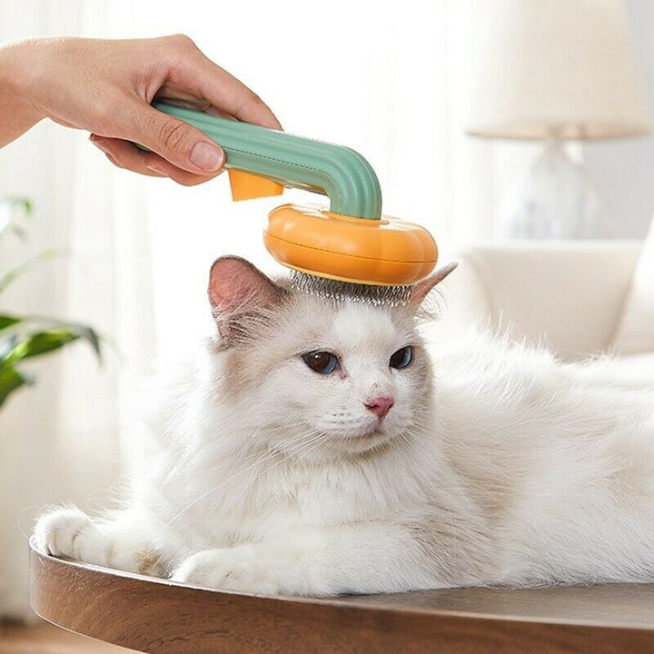 Pumpkin Comb Type Cat Comb