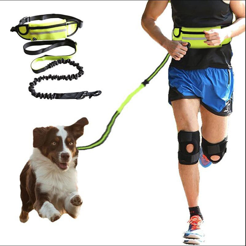 Hands Free Dog Leash With Phone Pocket