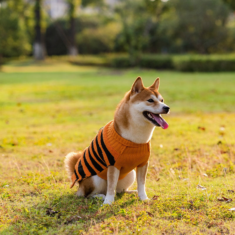 Halloween Pumpkin Dog Sweaters