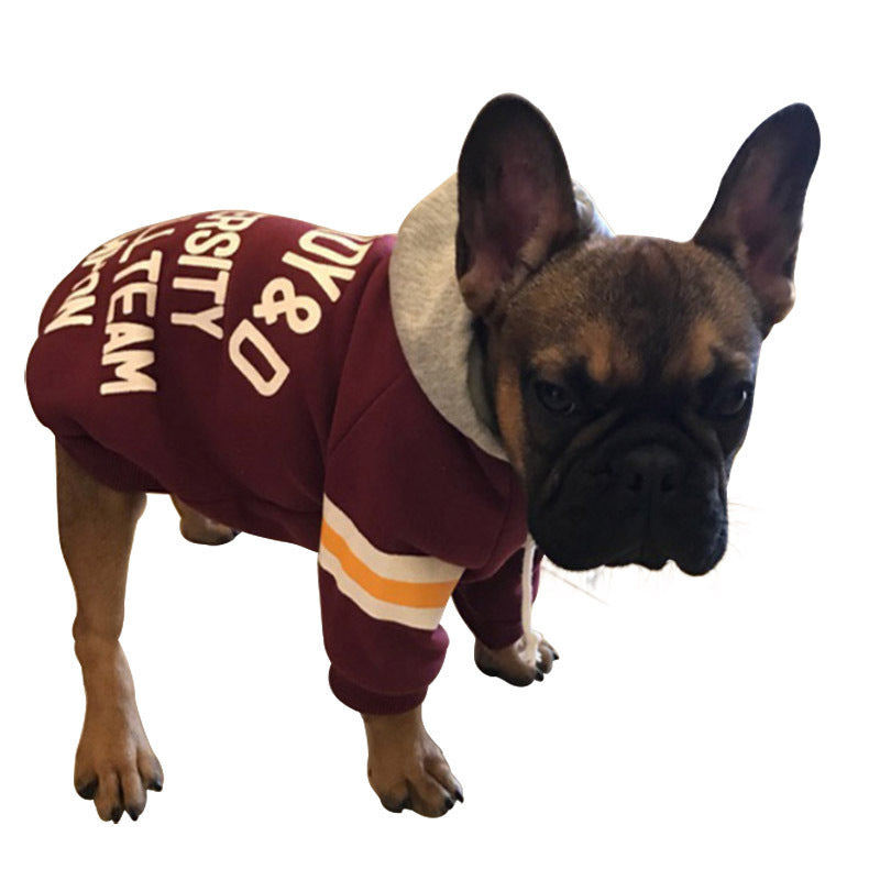 Varsity Sweater with Hood