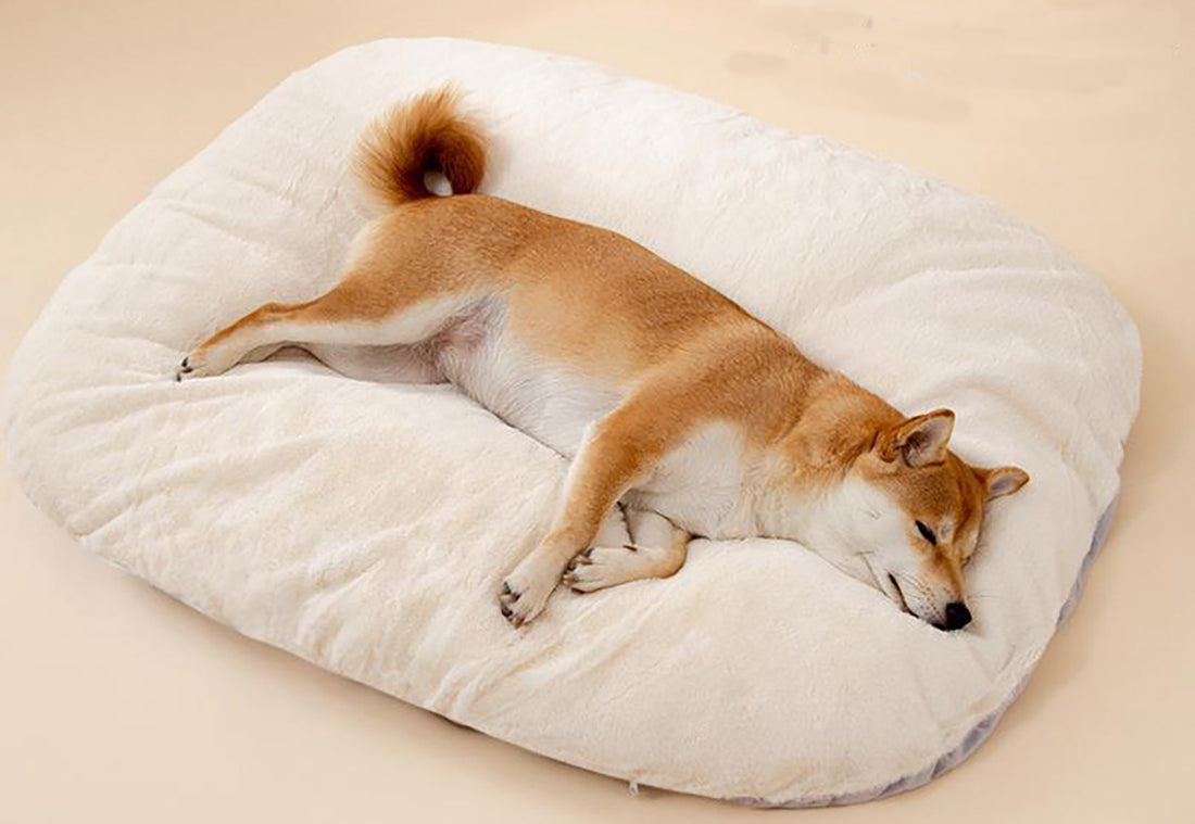 Plush Pillow Bed