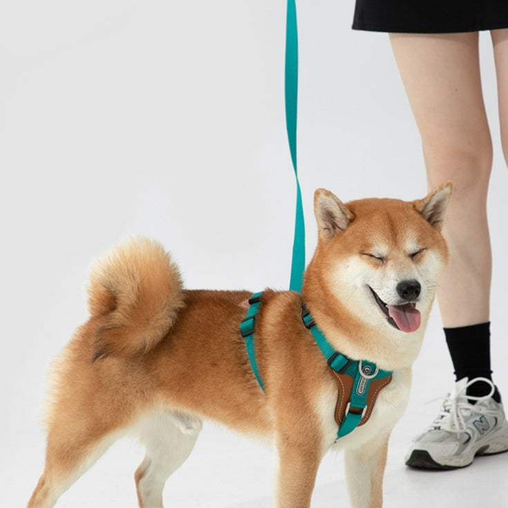 Dog Rope Leash Multifunctional