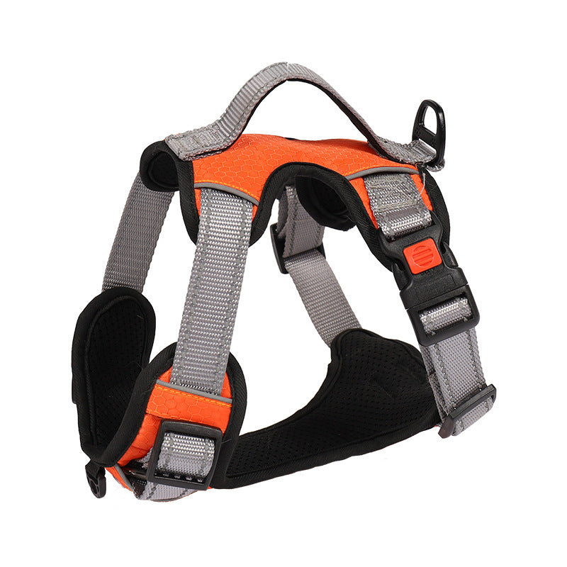 Dog Hand Holding Rope Vest Dog Chest Strap