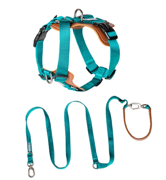 Dog Rope Leash Multifunctional