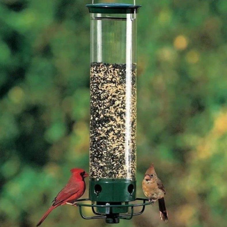 Hummingbird Feeder Bird Cage