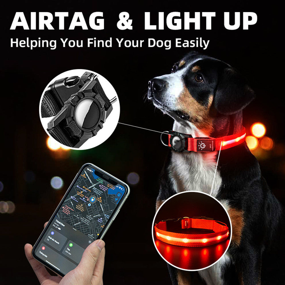 Light Up Pet Collar With Locator Holder