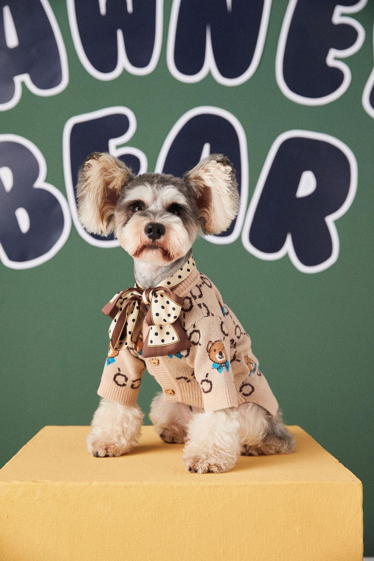 Pet Teddy Sweater Cardigan