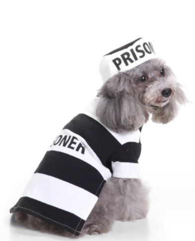 Prisoner Costume