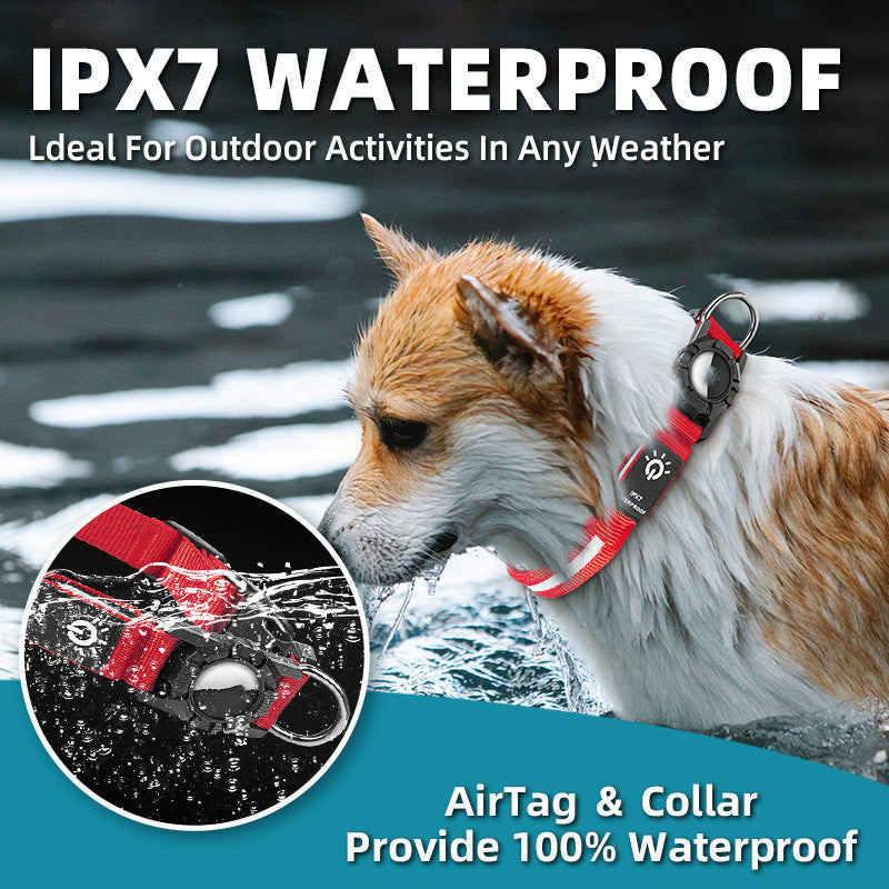 Light Up Pet Collar With Locator Holder