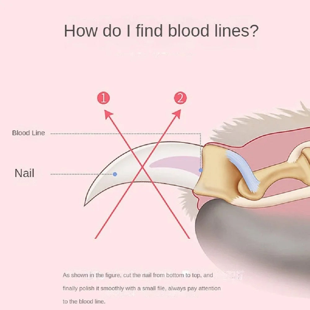 Pet Nail Clipper Sharp Safety Animal Grooming